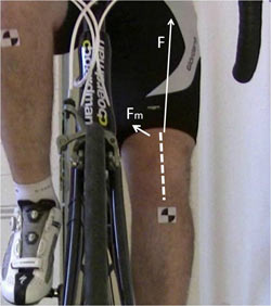 Cycling knee pain - patella tracking